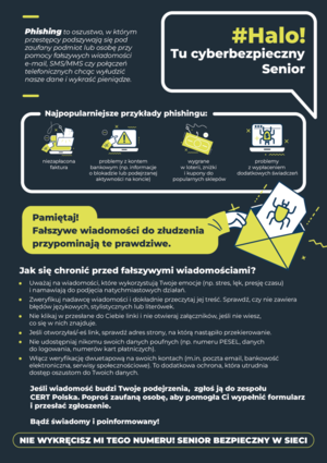 Na obrazie widać ostrzeżenia, dotyczące phishingu. Jak się chronić przez fałszywymi wiadomościami.