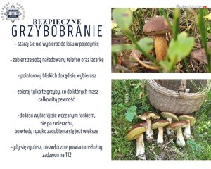 Na obrazie widać grzyby i rady, jak należy się zachować podczas grzybobrania, by być bezpiecznym.