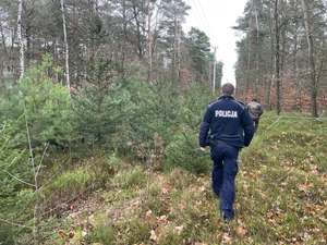 Na zdjęciu widzimy policjanta umundurowanego, który idzie prze las, jest skierowany tyłem do zdjęcia, a przed nim idzie strażnik leśny.